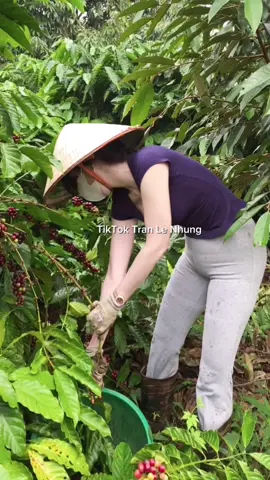 Nhưng hới người ơi, tình yêu là gì? 