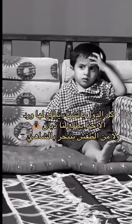 #شتاء #برد #ورد #اكسبلورexplore 