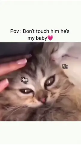 Tag your Baby😘❤️........ #foryoupage #viralvideo #growmyaccount #unfrezzmyaccount #1millonviews 