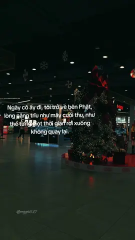 #onggia6_87 #suhuongtiktok  #trengding #capcut #fypシ 