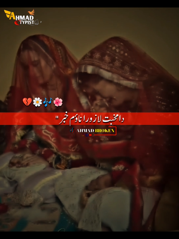 #زڑہ میں سلگئ واہی دونیا ژاڑہ#foryoupage❤️❤️ #supportme🙏🙏 #tiktokviral @Asifbhi2 