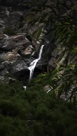 قدرت کے رنگوں میں اگر دل لگے، تو محبت ہر منظر میں جھلکتی ہے #nature#naturevibes#beautyofnature 