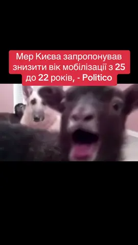 Мер Києва запропонував знизити вік мобілізації з 25 до 22 років, - Politico «Раніше 18-річні молоді люди служили в армії, але це діти. Зараз бути мобілізованим в Україні можна лише з 25 років. Можна знизити його на рік чи два - до 23 або 22», - сказав він. ㅤ 