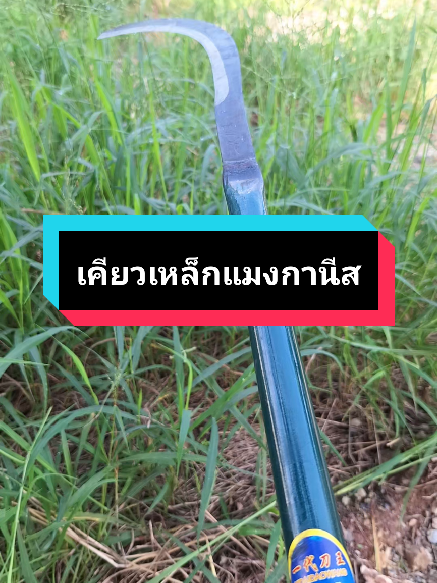บ้านใครมีป่ามีหญ้ารกๆ แนะนำให้มีติดบ้านไว้ใช้กันเลยครับ คียวเหล็กแมงกานีส#เคียวแมงกานีส #ของดีบอกต่อ #ขอชักตอง #อุปกรณ์การเกษตร #ของใช้ในบ้าน 