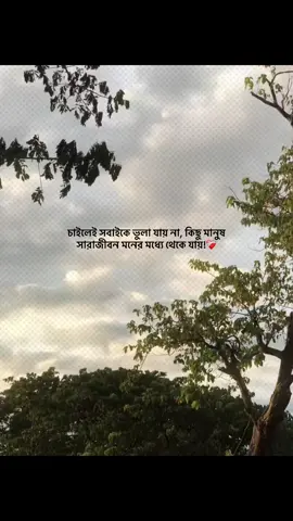 চাইলেই সবাইকে ভুলা যায় না, কিছু মানুষ সারাজীবন মনের মধ্যে থেকে যায় ❤️‍🩹🥀#viraltiktok #sadpost #sadpost 