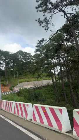 Đưa tui 1 nghèn bắt tụi chở triệu cây số tui cũng chở nưaa #dalat #xuhuong #vairal #dulich#xh 