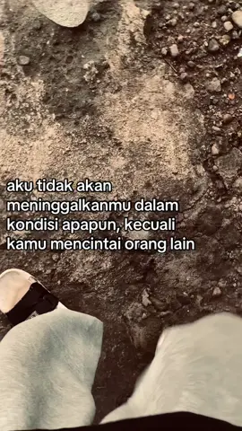 #creatorsearchinsights 