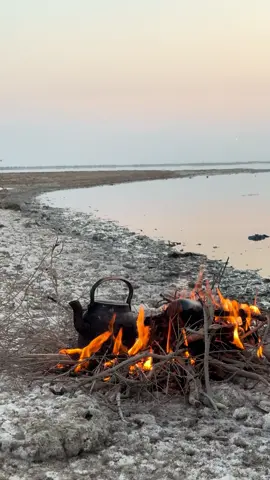 #موالات_حزينة_عراقية💔 #اهوار_الجنوب #شط_العرب #تصوير_علي_اللامي 