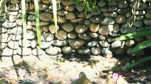 拥有这双鞋的都不一般#上热门要流量 