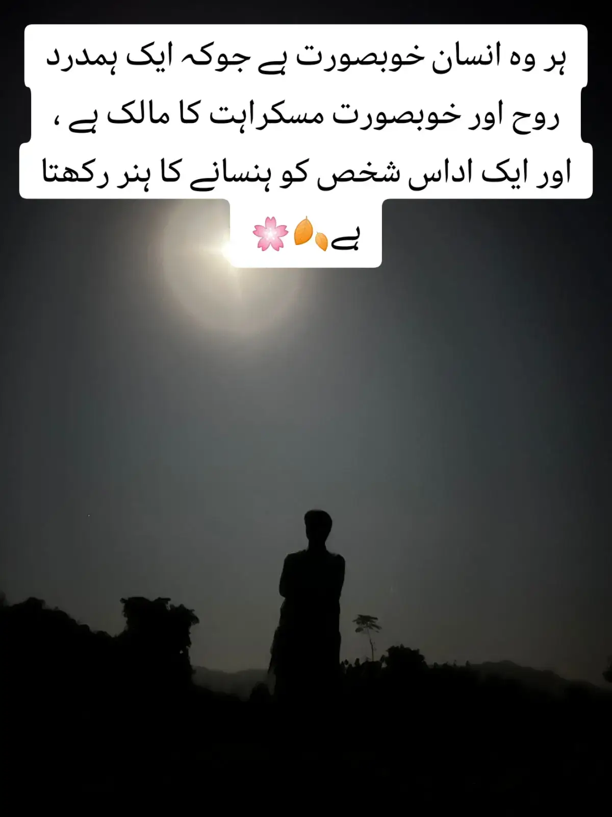 HaR Ao inSaN HubSuRaT Khi.! 🫠🌼❤️‍🩹#foryou #100k #foryoupage #standwithkashmir #500k 