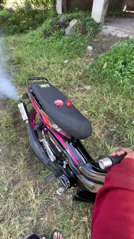 🥀 #alfatekah #fypage #ternosontek 