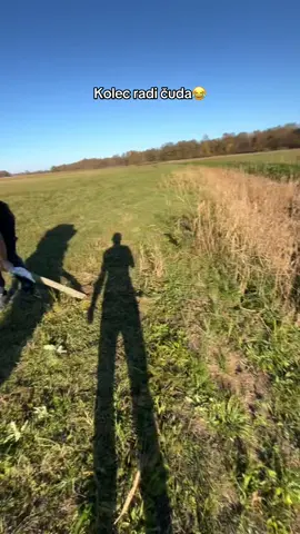 @Dorian🏍 #foryou #fake 