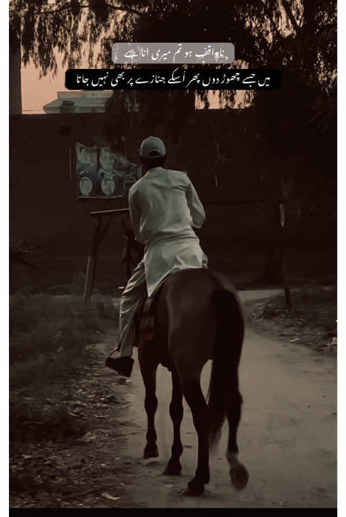 ناواقف ہو تم ابھی میری انا سے 🚩. #fyp#horselover#viralvideo#unfrezzmyaccount#foryoupage