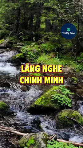 Lắng nghe chính mình #trietlysong 