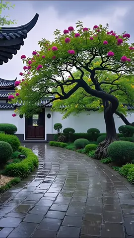 Listening to the Gentle Rain in Jiangnan 🌧️ Serenity in Every Drop #HealingScenery #RainyDayVibes #PeacefulMind #NatureTherapy #CalmMoments