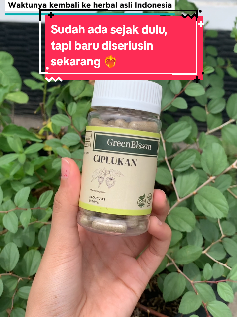 cek keranjang kuning sekarang 🛒❤️‍🔥  “Herbal alami untuk mendukung keseimbangan tubuh dan menjaga kesehatan dari dalam💊
