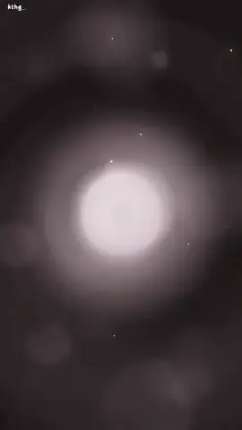 : 🤰       #yoonwon #월요일의구원자  #naomii_grpᥫ᭡ | id:? |