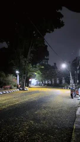 demak musim gugur  #demakkotawali#fypage 