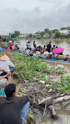 idol nào dựt dữ vậy #ghengomini #xuhuong 