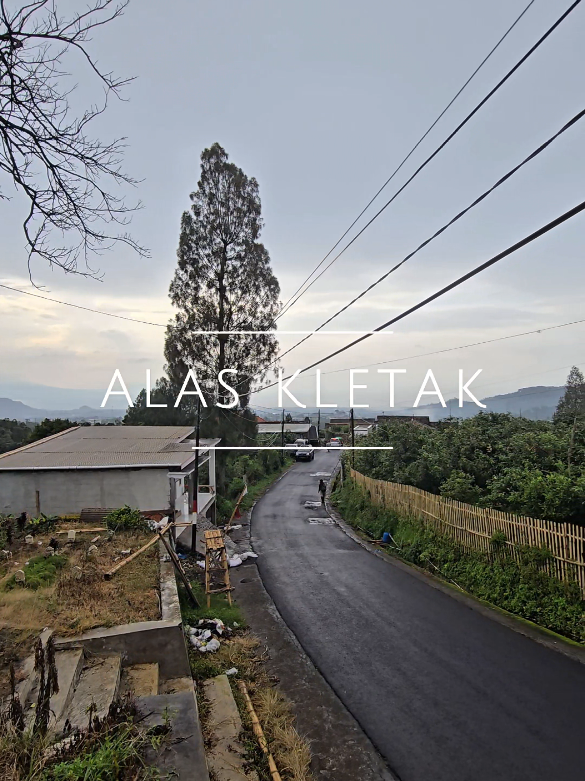 Katanya cuma pohon dan awan, tapi siapa yang tahu... mungkin dia cuma ganti shift. 🦧 #nikimuramultiverse #orangutanseries #alaskletak #nongkojajar #bromo 