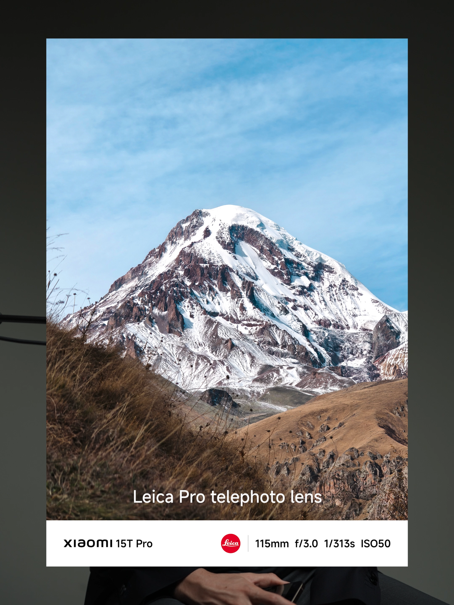 From wide to tele — every frame, pure Leica magic. 📸 #Xiaomi15TPro