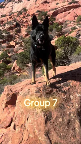 #group7 #Hiking #dogs #utah 