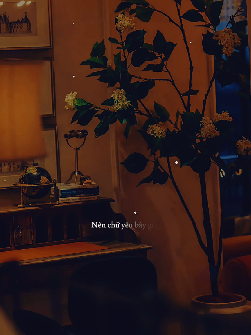 Đã đến lúc dừng lại chẳng ai ở bên ai... #motminhchangsaoma  #casigiaumat  #nhacbuontamtrang  #maucapcut  #thanham1991 