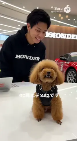 AI動画です NS660 