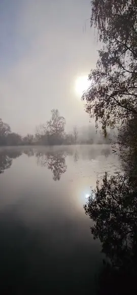 🍂🍁🍂#november #autumn #enjoy #nature #simplebeauty 