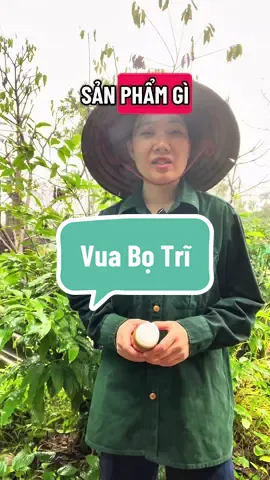 Dùng bọ trĩ cho vườn cây xanh tốt, bộ lá bóng đẹp mơn mởn #xuhuong #viral #nongnghiep #vuabotri #chiasekinhnghiem 
