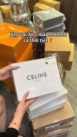 Sắc màu mùa cuối năm 🤎❤️#xuhuongtiktok #tuixach #xuhuong 