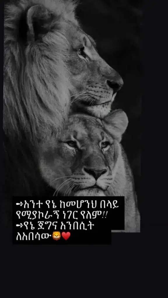 #ethiopian_tik_tok #ethiopian_tik_tok🇪🇹🇪🇹🇪🇹🇪🇹 #አልሀምዱሊላህ_ሙስሊም_ላደረከኝ_ጌታ🌹❤ #fkypシ #ኢትዮጵያ_ለዘለዓለም_ትኑር🇪🇹🇪🇹🇪🇹ኩራቴ😘ኢትዮ #ፍቅር💓ብቻ🥀🦋🥀🕊️🔐🥰🥰💞💞💞 #pyfツviral_❤