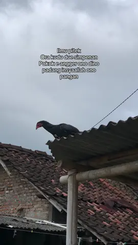 Kata kata hari ini.. #fypシ  #fyp  #katakatamotivasi  #likalikukehidupan 