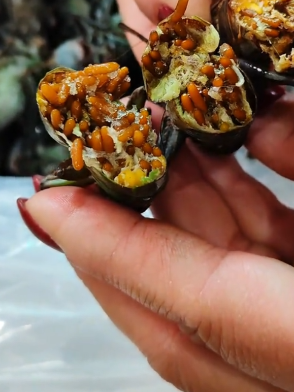 walang klaras #cemilan #makananunik #cemilanunik #belalanggoreng #viralvideos 