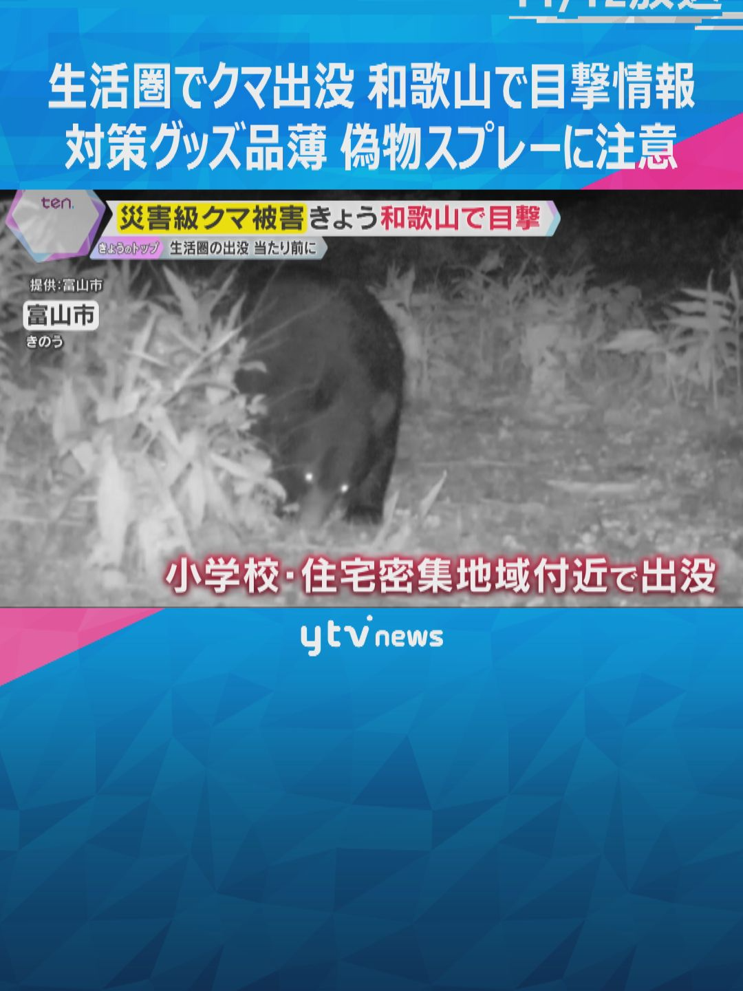 全国各地でクマによる被害が絶えませんが、和歌山市でも11日、県立紀伊風土記の丘付近でクマらしき動物の目撃情報がありました。園内への立ち入りが禁止され、住民に注意が呼び掛けられています。アウトドア用品店ではクマ撃退スプレーが品切れといいます。#tiktokでニュース #読売テレビニュース