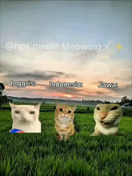 Cat meow #memekucing #kucing #meme #promomakan1111 #fyp @𝙂𝙍𝘼𝙉𝘿 𝙅𝙍 ⚡︎🩴 
