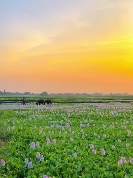 নামাজ আমার পড়তেই হবে 😊❤️‍🩹#rs_raju#foryou #foryoupage #fyp #viral 