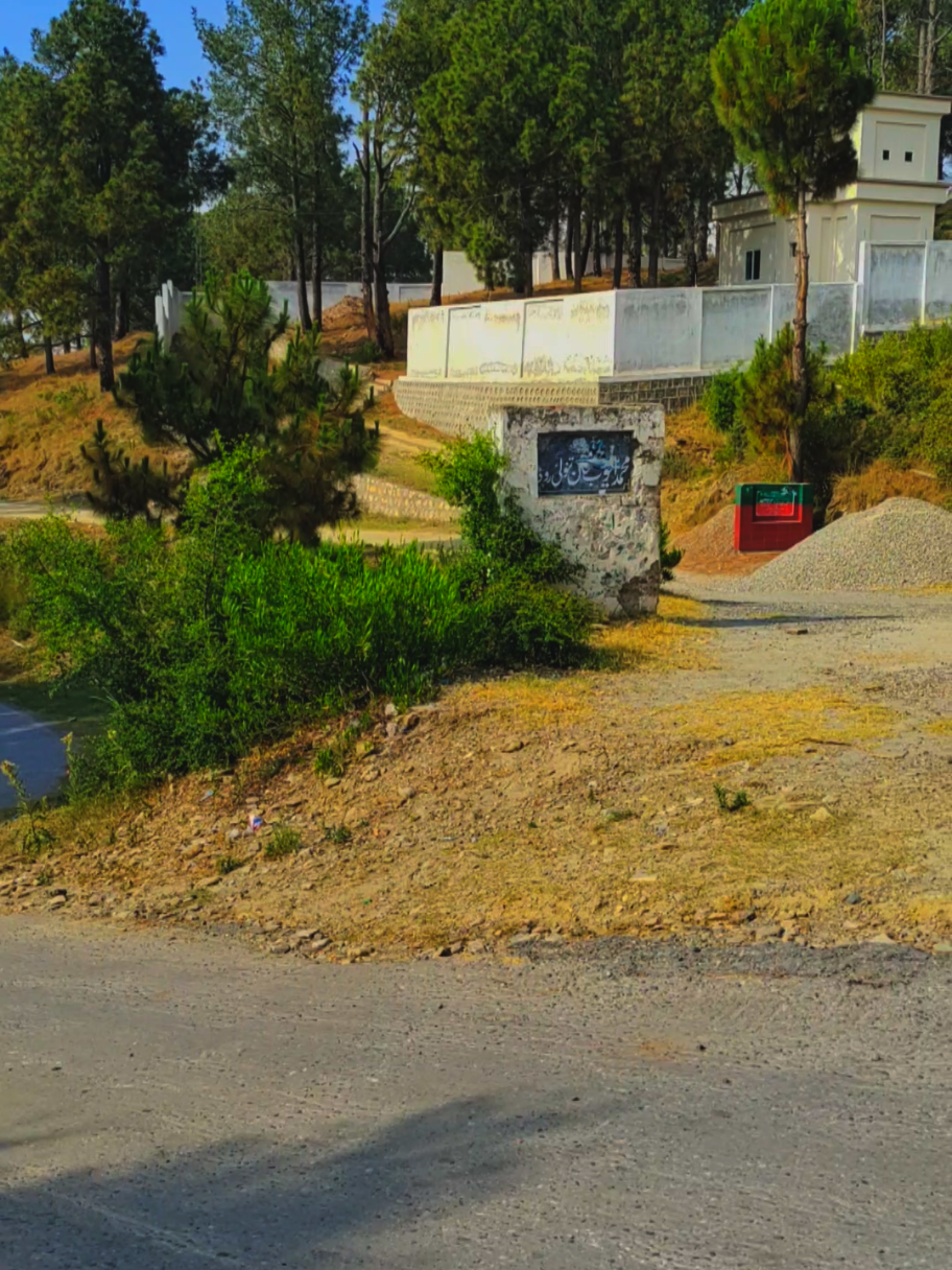 #collage #memories #plzz apny village ka name btain ? #myvillage #sherwan 