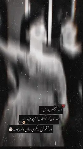 اسیر هیچکس نباش#وحید_مرادی 🖤🦅