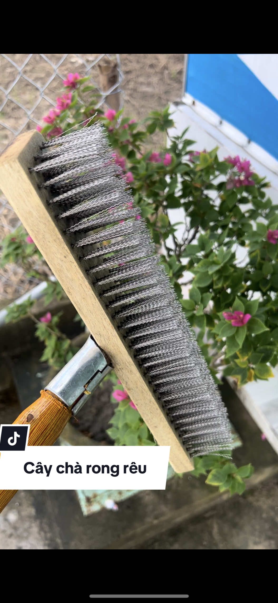 Trả lời @Quay tào lao kaka chà riêt khoái luôn mấy bồ ơi #caycharongreu #tayrongreu #xuhuong  @Nhà Của Bích  @Nhà Của Bích  @Nhà Của Bích 