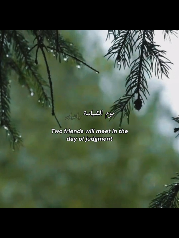 Two Friends on the Day of Judgment 🤍” (A story that will soften your heart...) . #islamic_video 