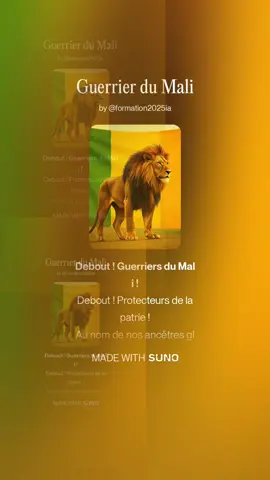 Allé debout Guerrier du Mali 🫡🫡