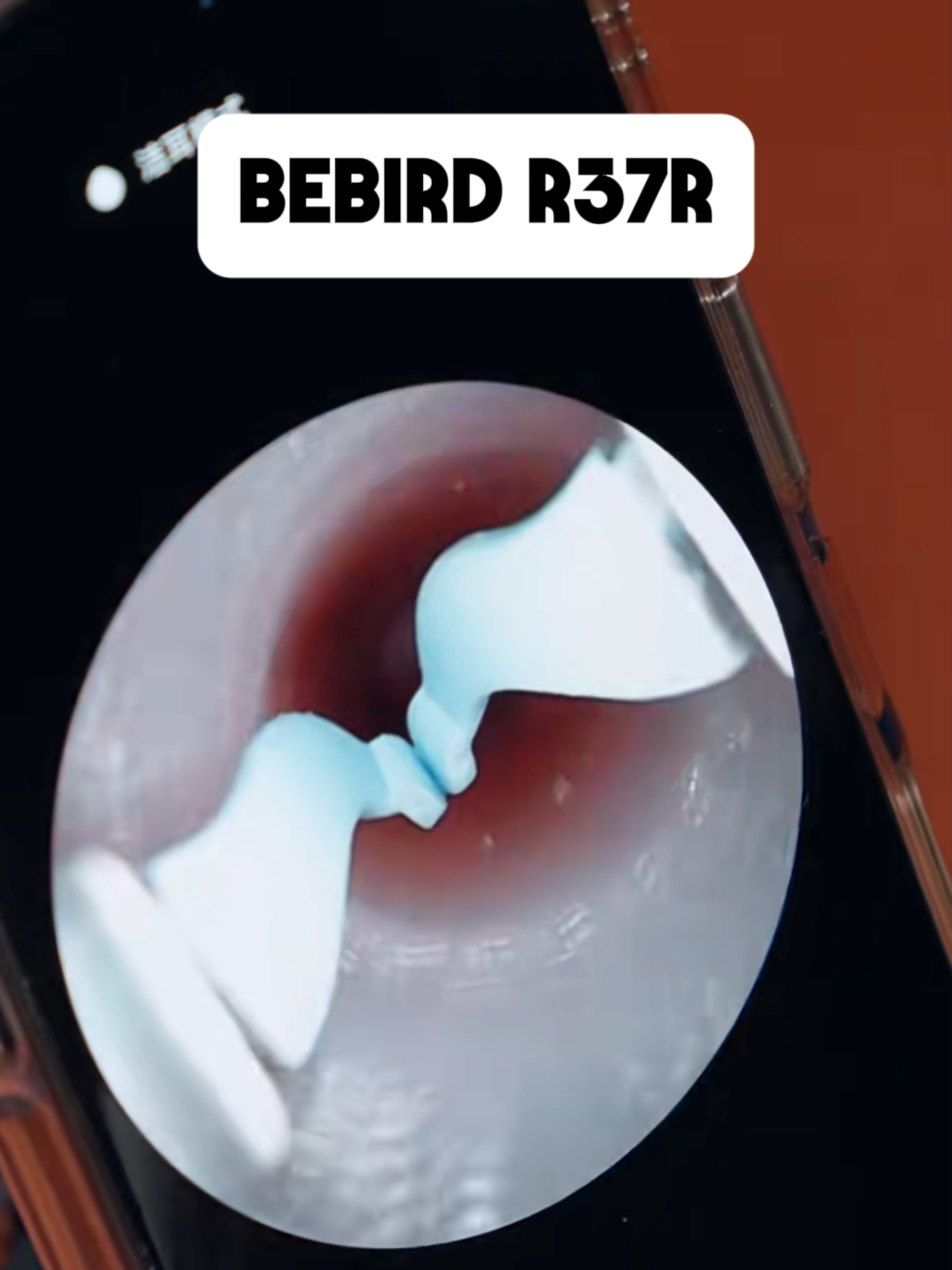 giải pháp an toàn cho bạn 🎁 #bebirdr37r #bebird #bebirdvn