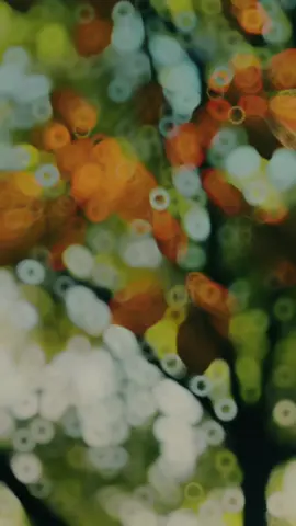 #fypシ゚   #คำถามโง่ๆ…