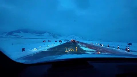 #mongolia #жол #vibe #winter #car 