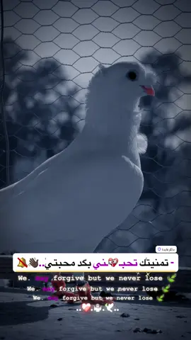 #اكسبلور #اكسبلور @حسن سلام★ @رضيوو 😅🦅 @فكات ارافل وحمر الديوانية @زغلول.٢٠١٧ #مشاهير_تيك_توك #تفاعلكم_لايك_متابعه_اكسبلوررررراexplore #الشعب_الصيني_ماله_حل😂😂 