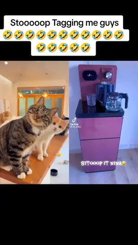 #duet with @Abicious89 