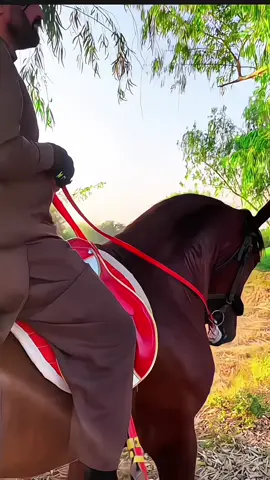 #foryoupageofficiall #foryoupage❤️❤️ #foryoupageofficiall #foryoupageofficiall 