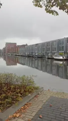 #يُقَيِّمُونِي وَهُمْ دُونَ مَقَامِ التَّقْيِيمِ.