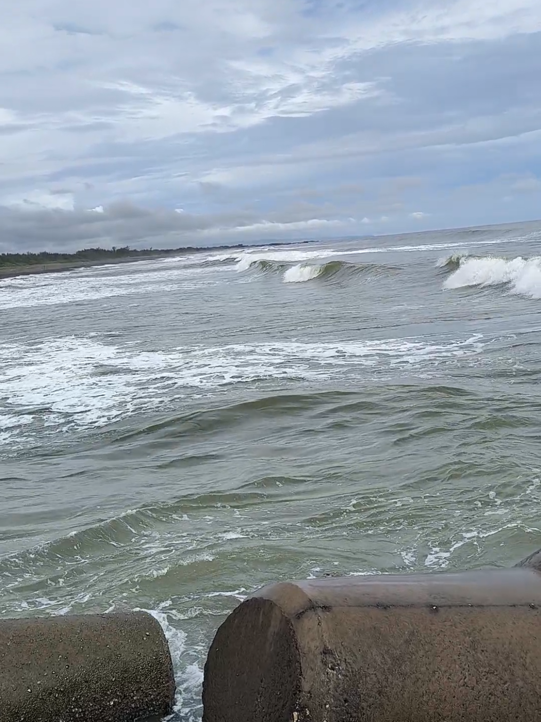 ta kasih info bolo ,gato ra ketang 5 jarian okeh neng sela sela tetra bolo  #muarajogja #mmj #mancing #mancingsantai #fyp 